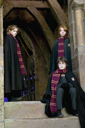Gryffindor Harry Potter Šál 190 cm